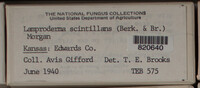 Image Associated With the Occurence